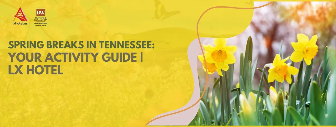 Spring Breaks In Tennessee