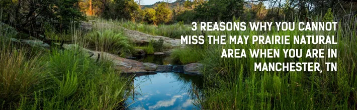reasons why you cannot miss the May Prairie Natural Area when you are in Manchester, TN